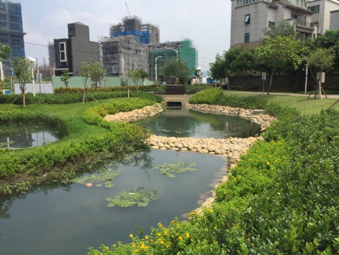 桃園市政府工務局-桃園區風禾公園水質改善與設施活化工程
