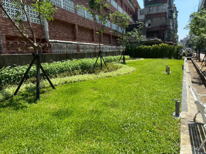 新北市政府綠美化環境景觀處-三蘆八區綠美學及樹木傾倒復舊工程